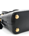 Signature Grained Calfskin Logo XXS Ville Top Handle Bag Black White