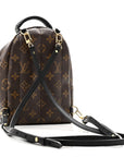 Monogram Palm Springs Backpack Mini