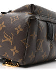Monogram Palm Springs Backpack Mini