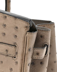 Ostrich Birkin 30 Mousse