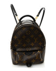 Monogram Palm Springs Backpack Mini