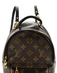 Monogram Palm Springs Backpack Mini