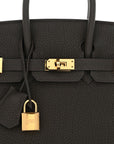 Togo Birkin 25 Eucalyptus