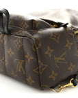 Monogram Palm Springs Backpack Mini
