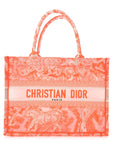 Transparent Canvas Embroidered Medium D1ORiviera Toile De Jouy Book Tote