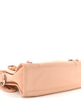 Matte Goatskin Rubber Covered Classic Hardware Mini City Rose Poudre