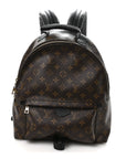 Monogram Palm Springs Backpack MM
