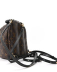 Monogram Palm Springs Backpack Mini