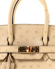 Ostrich Birkin 25 Parchemin
