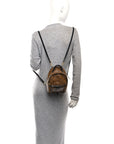 Reverse Monogram Palm Springs Backpack Mini