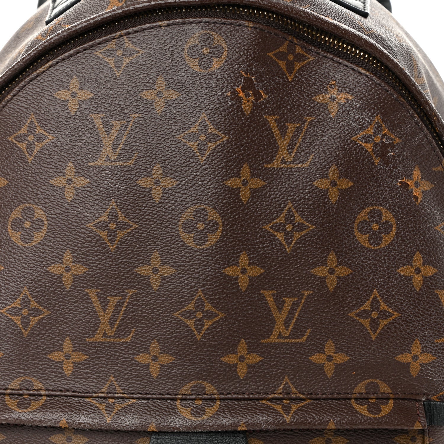 Monogram Palm Springs Backpack MM