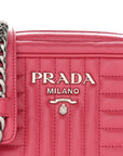 Soft Calfskin Diagramme Camera Bag Peonia