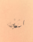 Monogram Alma BB