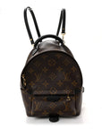Monogram Palm Springs Backpack Mini