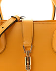 Boarded Plutone Calfskin Medium Jackie 1961 Tote Crop
