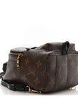 Monogram Palm Springs Backpack Mini