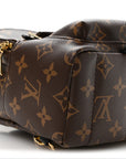 Monogram Palm Springs Backpack Mini