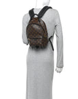 Monogram Palm Springs Backpack PM