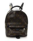 Monogram Palm Springs Backpack Mini