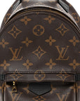 Monogram Palm Springs Backpack Mini