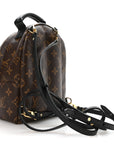 Monogram Palm Springs Backpack Mini