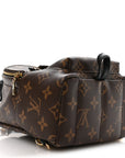 Monogram Palm Springs Backpack Mini