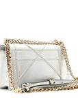 Metallic Grained Calfskin D1ORama Wallet on Chain Pouch Silver