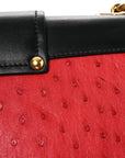 City Calfskin Ostrich Cahier Bag Fuoco Black