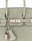 Togo Birkin 25 Gris Neve