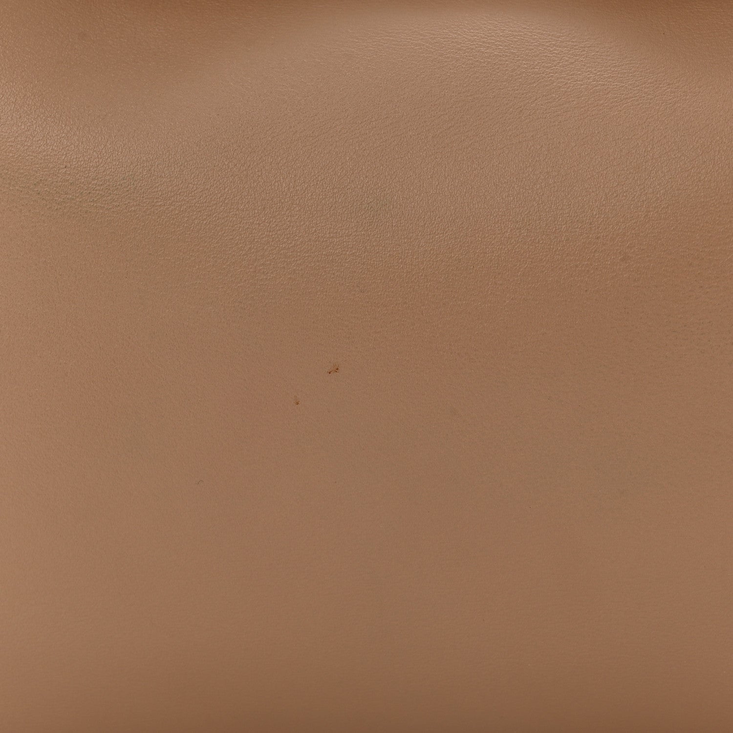 Natural Smooth Calfskin Mini Rodeo Top Handle Handbag Latte