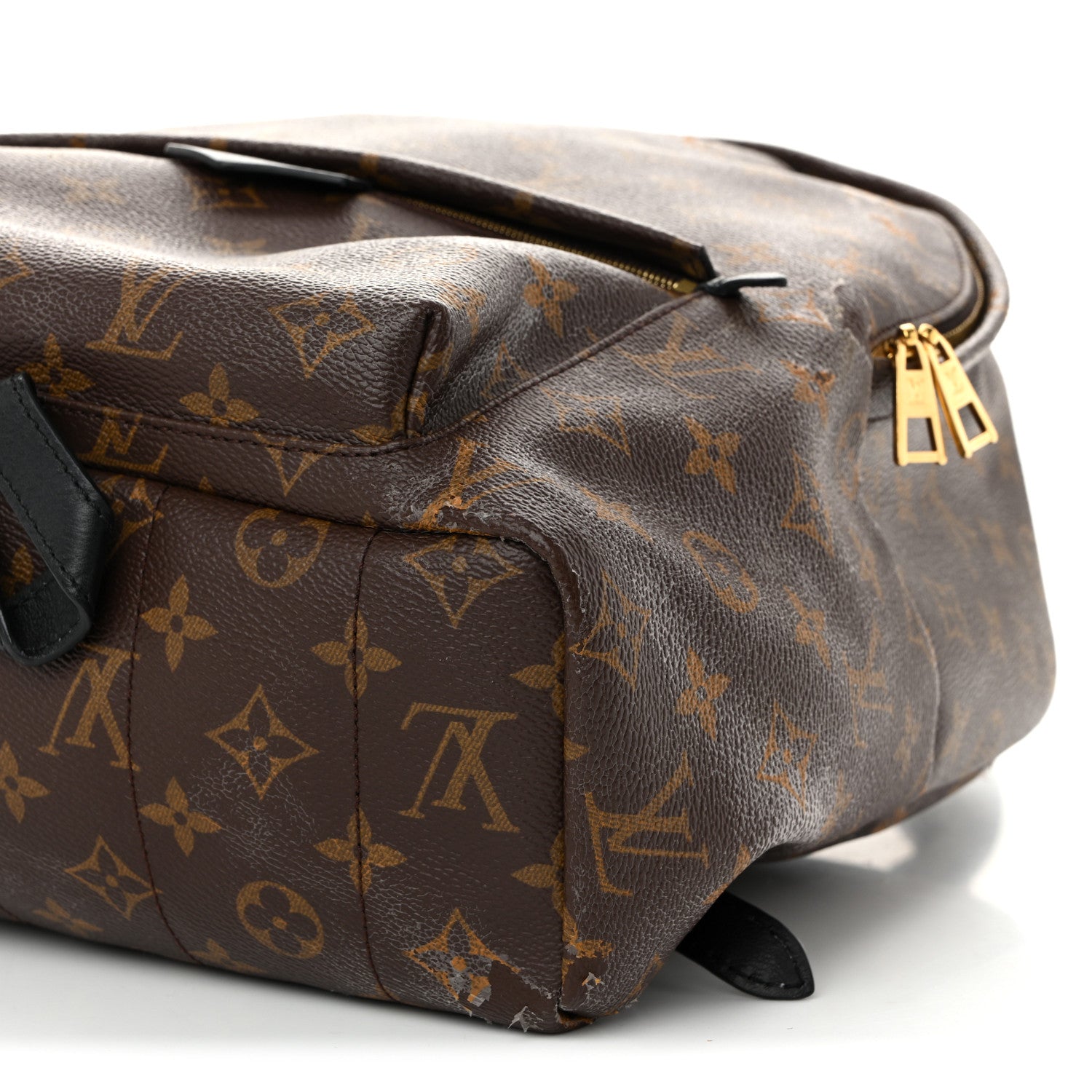 Monogram Palm Springs Backpack MM