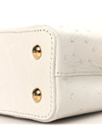 Iridescent Ostrich Capucines Mini White Gold