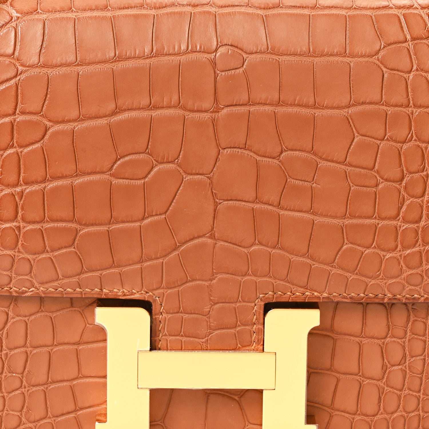 Matte Alligator Constance 18 Gold