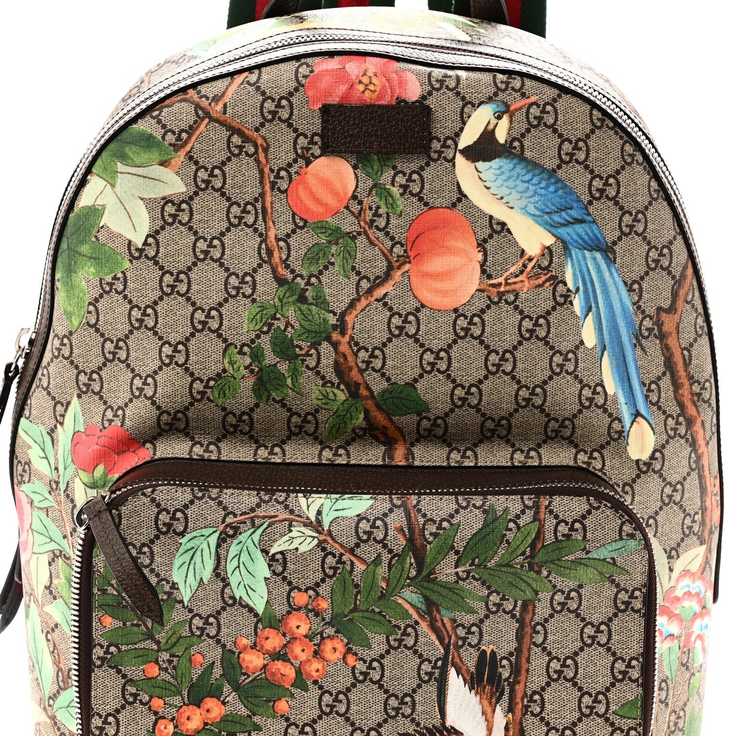 GG Supreme Monogram Tian Web Small Day Backpack Beige Multicolor New Acero