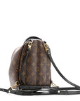 Monogram Palm Springs Backpack Mini