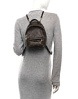 Monogram Palm Springs Backpack Mini