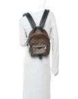 Monogram Palm Springs Backpack PM
